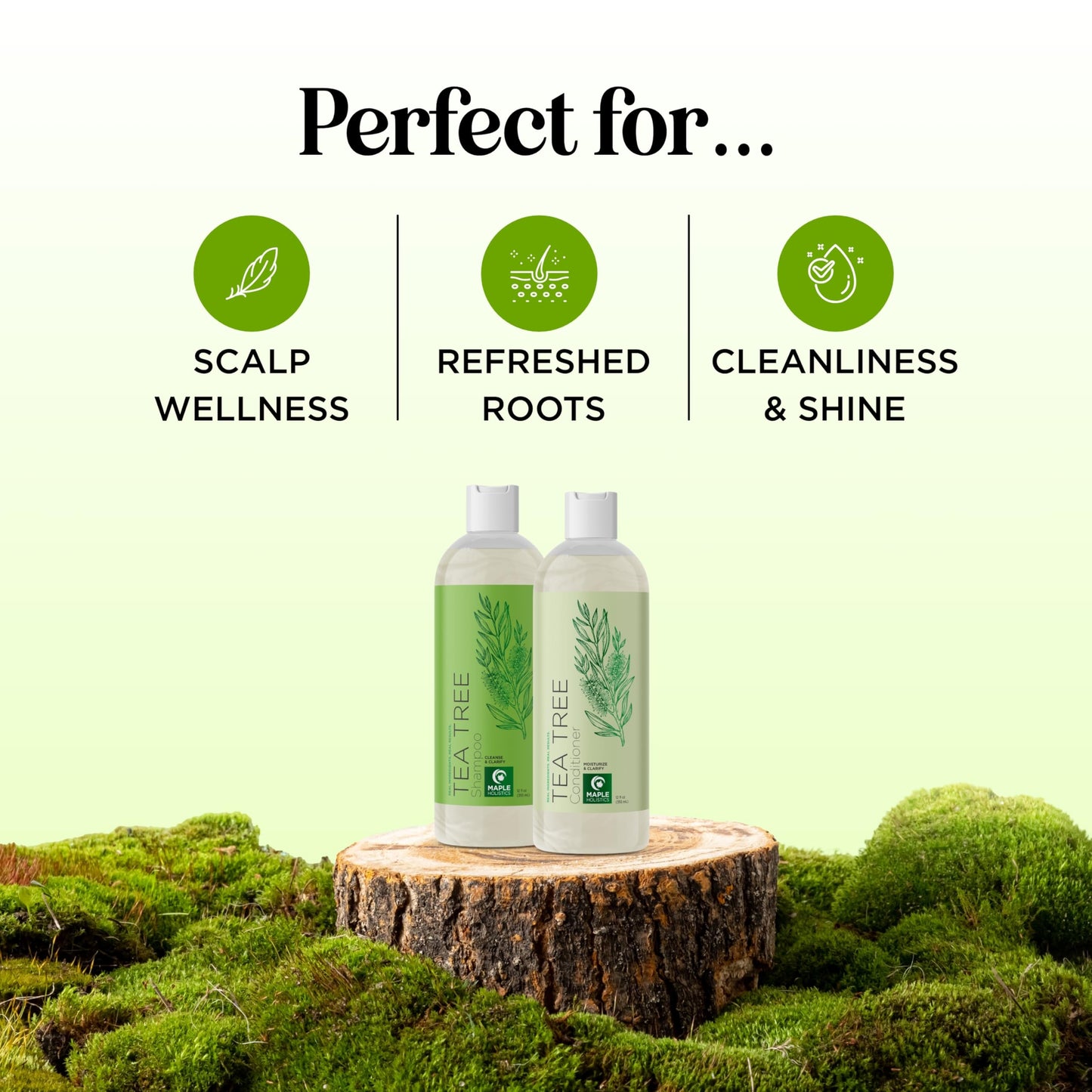 Tea Tree Shampoo and Conditioner Set - Sulfate Free Clarifying Shampoo and Conditioner for Oily Hair & Scalp Care with Cleansing Tea Tree Oil Beauty & Personal Care Maple Holistics