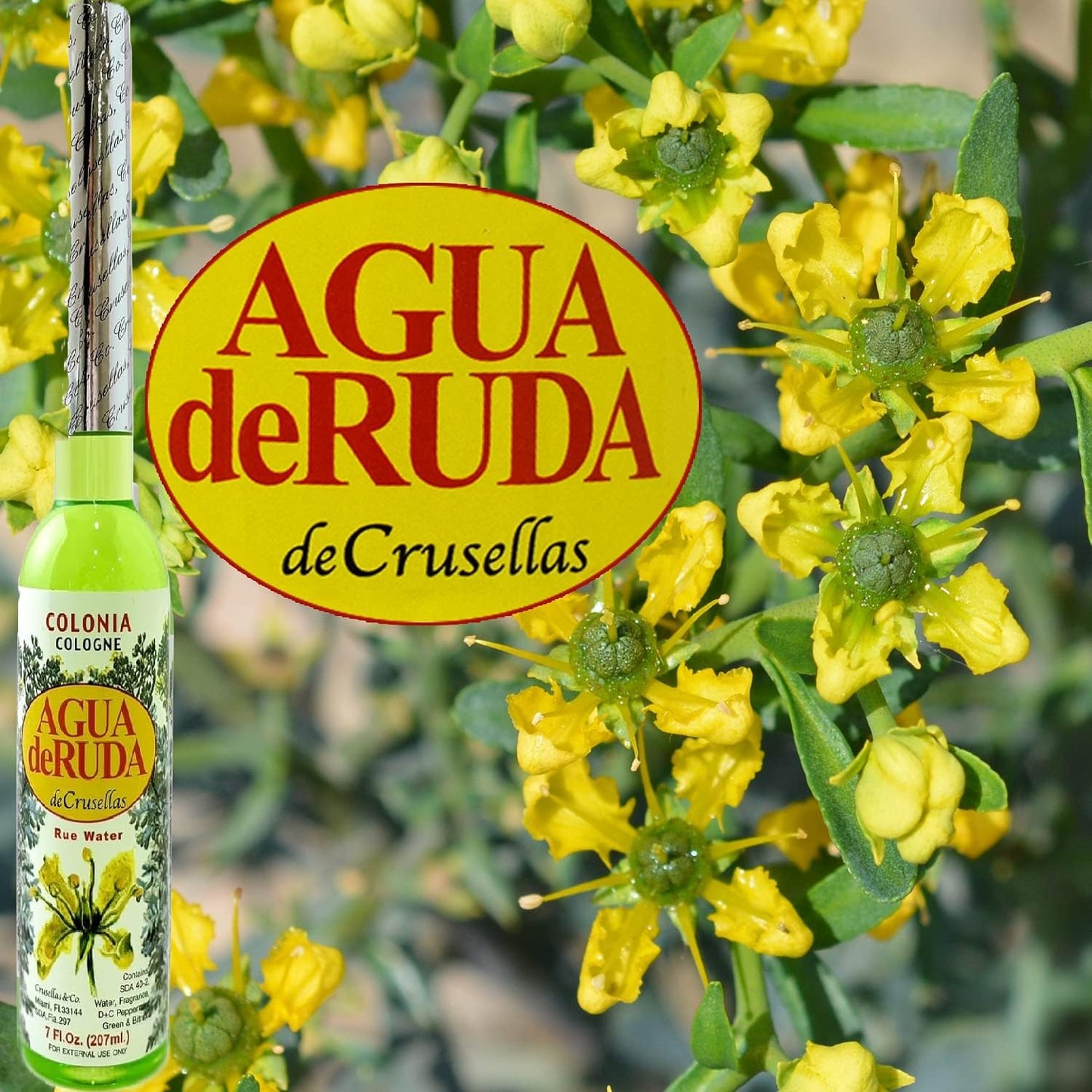 Crusellas Rue Water (Agua de Ruda) Splash Cologne 7 Fl. Oz. Beauty & Personal Care Crusellas
