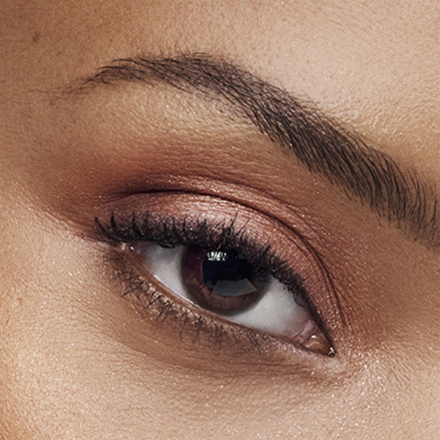 Estée Lauder The Essential Eyeshadow Quad Long-Lasting Palette | Shape, Sculpt, Magnify, Power Brunch, 0.14 Ounce Beauty & Personal Care Estée Lauder