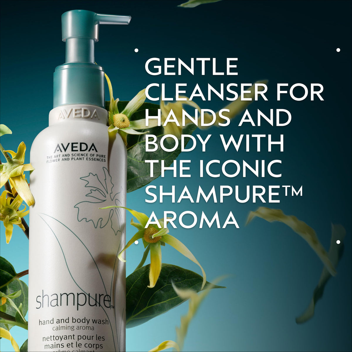 Aveda Shampure Hand & Body Wash | Liquid Hand Soap and Body Wash | with Calming Aroma of Lavender, Ylang Ylang, Petitgrain, 8.5 Fl Oz Beauty & Personal Care Aveda