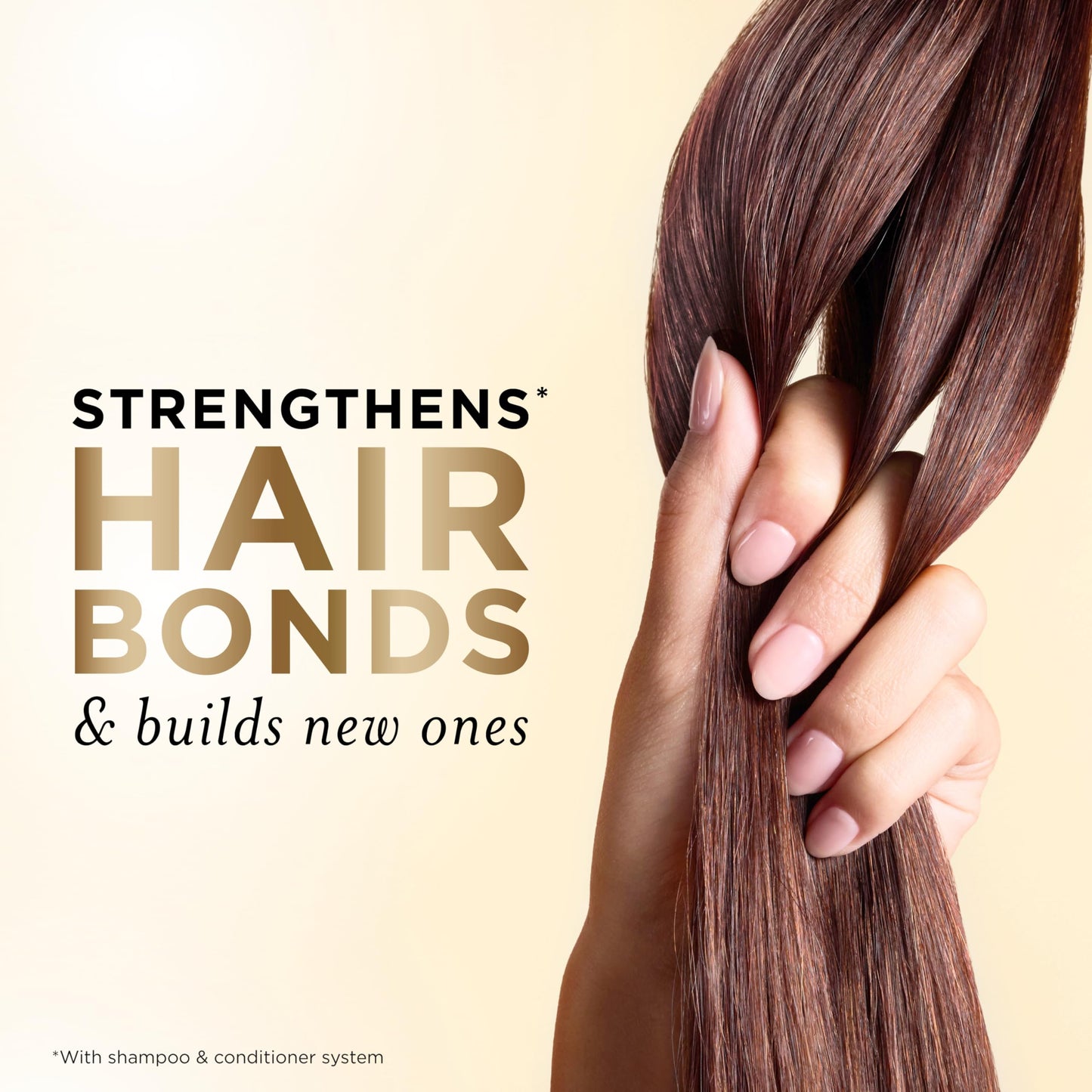 Pantene Shampoo & Conditioner Set, Daily Moisture Renewal with Vitamin E - Pro-V Nutrients for Dry, Color-Treated, Straight to Curly Hair, 72-Hour Beauty & Personal Care Pantene