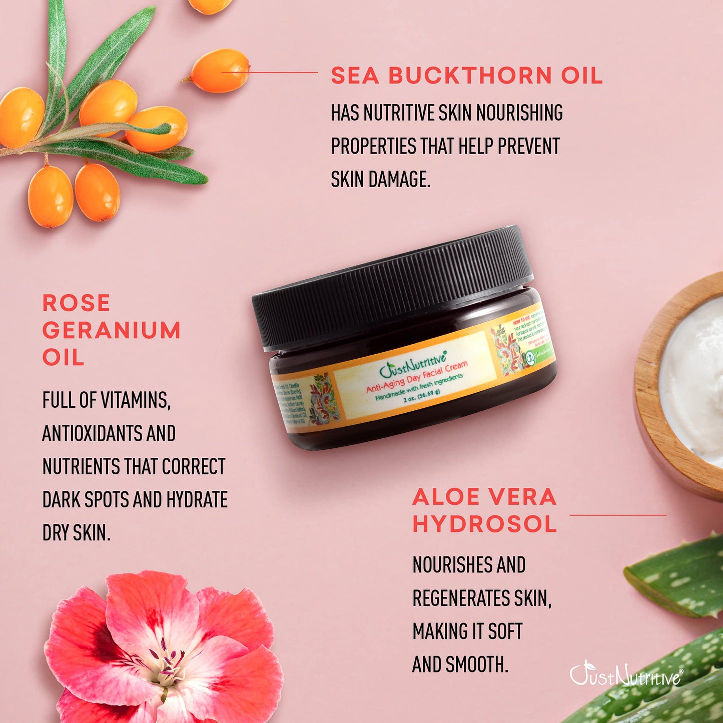 Just Nutritive Anti-Aging Day Facial Cream | Best Day Cream | Lasting Radiant Appearance | Leaves Skin Fresh Softens The Look of Fine Lines | Locks Beauty & Personal Care Just Nutritive