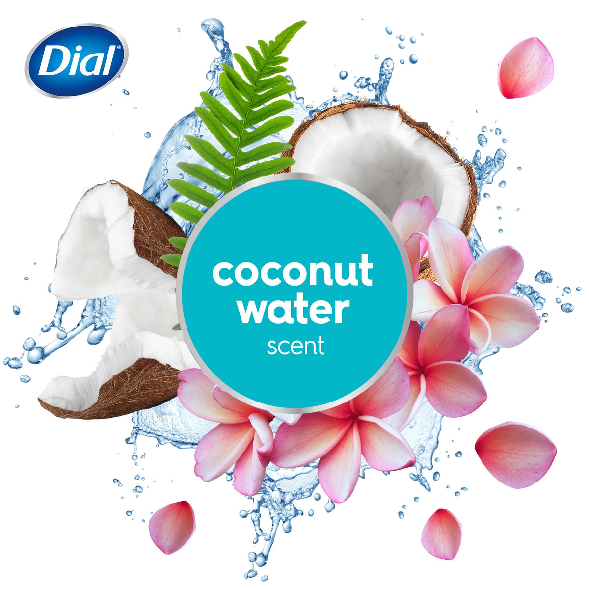 Dial Body Wash Coconut Water and Bamboo Leaf Extract, 16 Ounce (Pack of 3) Beauty & Personal Care Dial