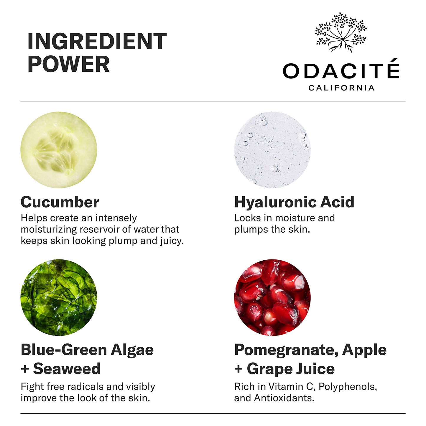 ODACITE Hydrating Face Moisturizer - Green Smoothie Quenching Creme, Face Cream - Moisture Locking Face Cream is Lightweight & Non-Greasy - Cucumber Beauty & Personal Care ODACITE