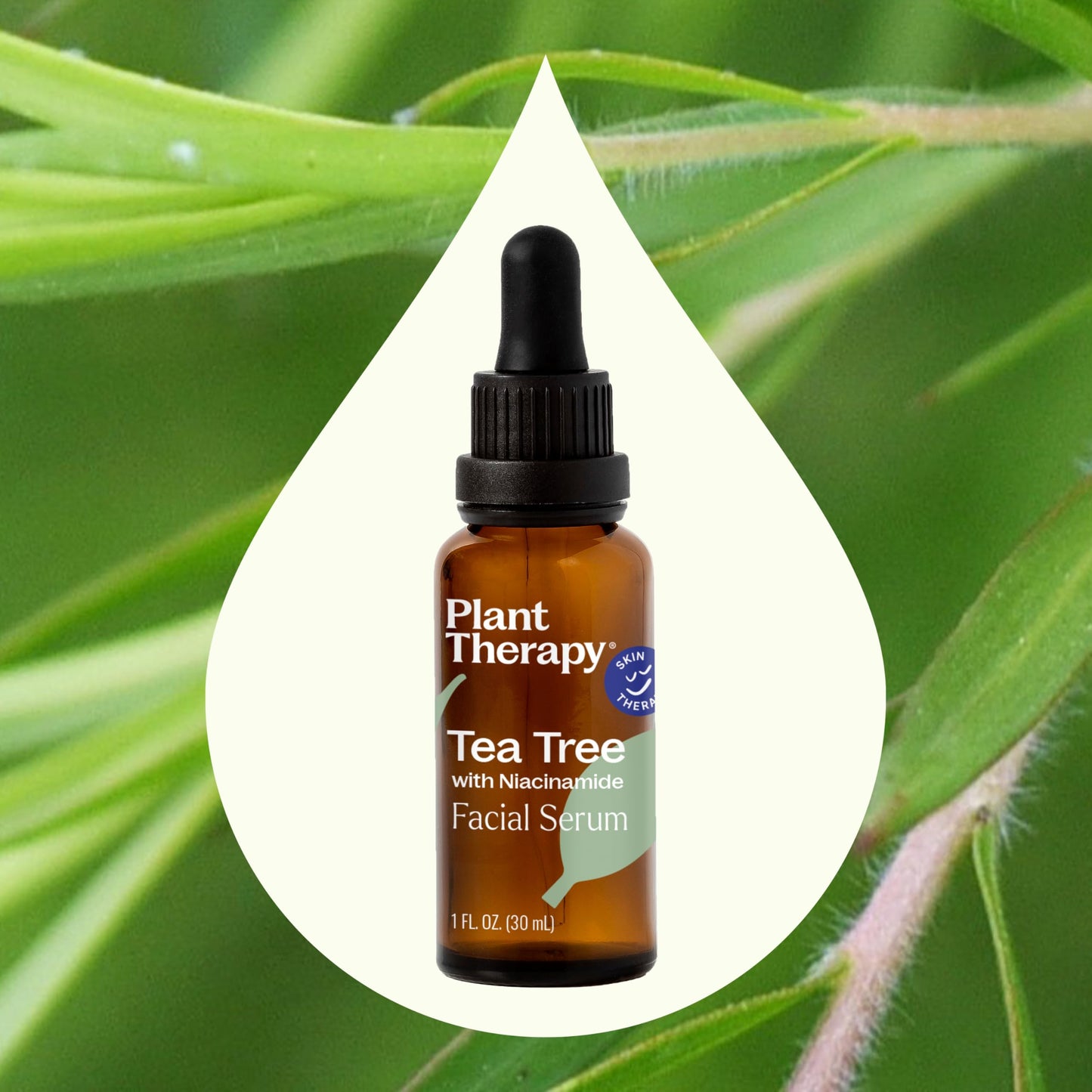 Plant Therapy Tea Tree with Niacinamide Facial Serum 1 oz with Tea Tree Essential Oil, Witch Hazel, and Willow Bark, Excellent for Problem Skin While Beauty & Personal Care Plant Therapy