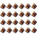 HOTOP 24 Pcs Mini Hair Claws Clips, Small Non Slip Plastic Jaw Clips for Girls and Women (Coffee) Beauty & Personal Care Hotop