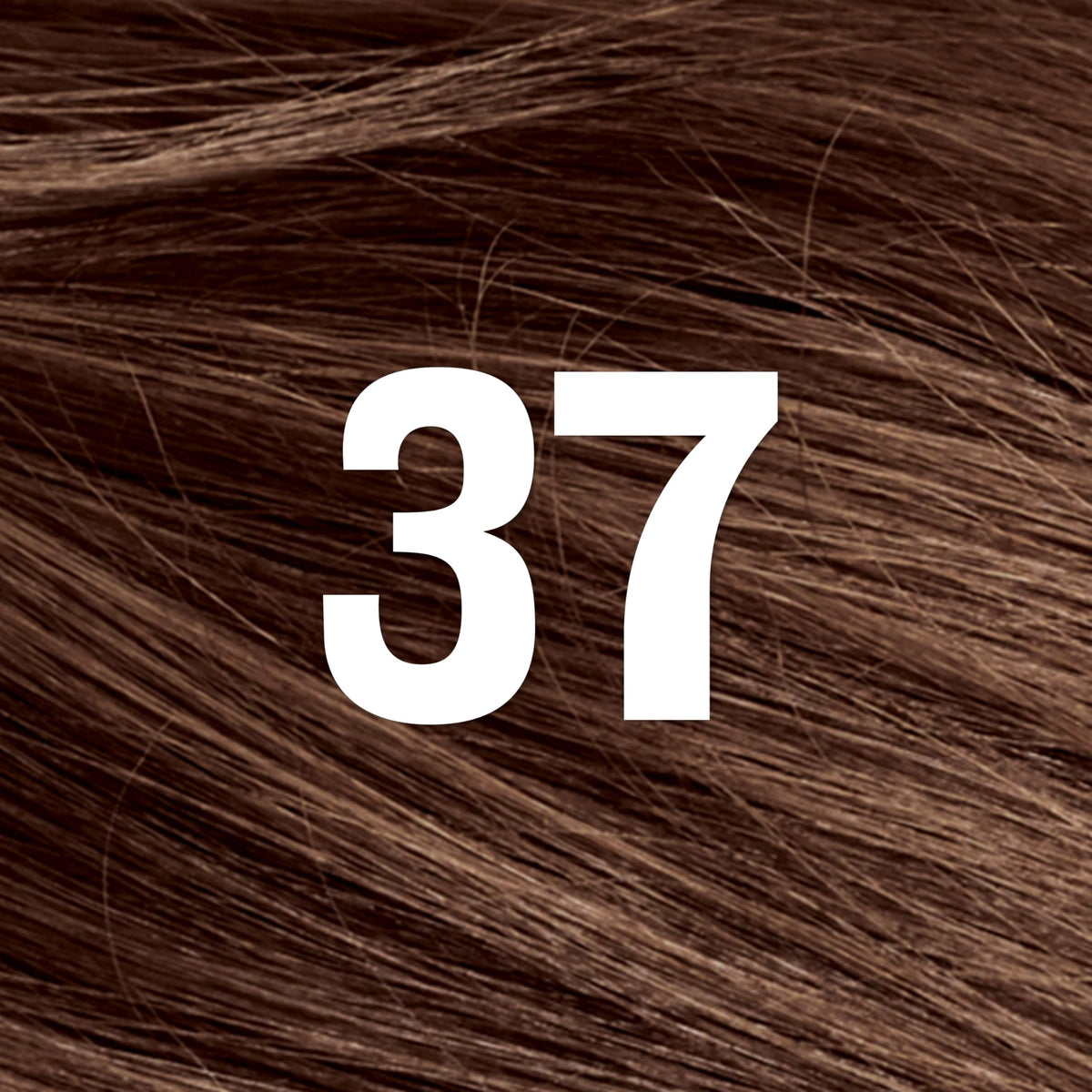 Revlon ColorSilk with Bond Repair Complex, Brown Permanent Hair Color, 100% Gray Coverage, Ammonia Free Hair Dye, Vegan Keratin, 37 Dark Golden Brown Beauty & Personal Care REVLON
