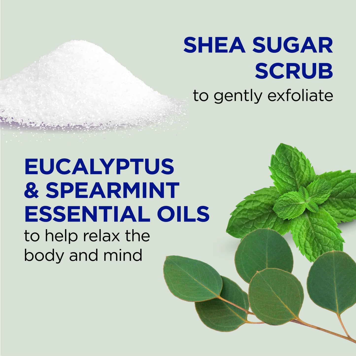 Dr Teal's Shea Sugar Scrub, Eucalyptus & Spearmint Essential Oils, 19 oz (Pack of 3) Beauty and Personal Care Dr Teal's