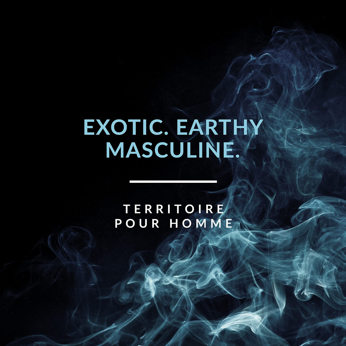 Territoire Eau De Parfum, Men's Cologne (Blue) Beauty & Personal Care Territoire