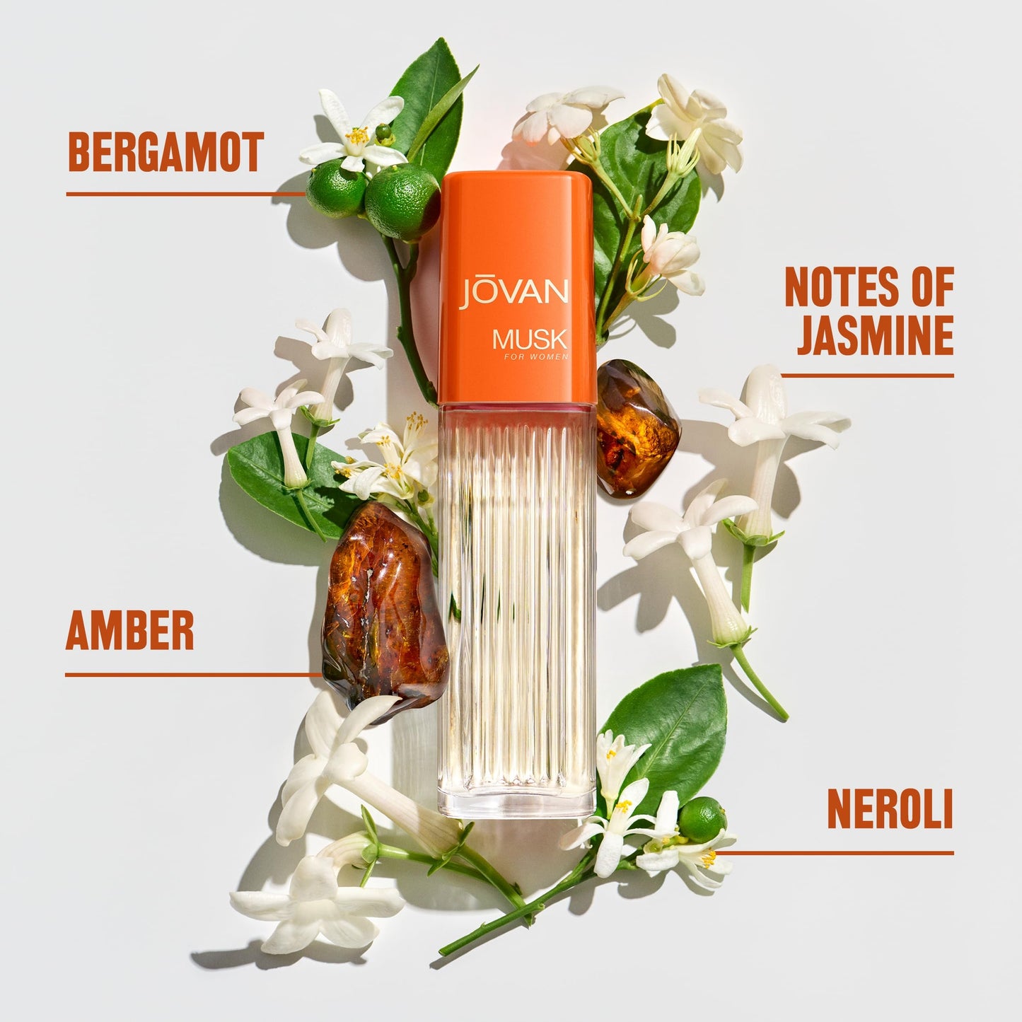 Jovan Musk for Women Eau de Cologne Spray 2 fl oz (Pack of 1), Notes of Jasmine, Amber, and Neroli, Women's Fragrance, Long Lasting, Everyday Beauty & Personal Care Jovan