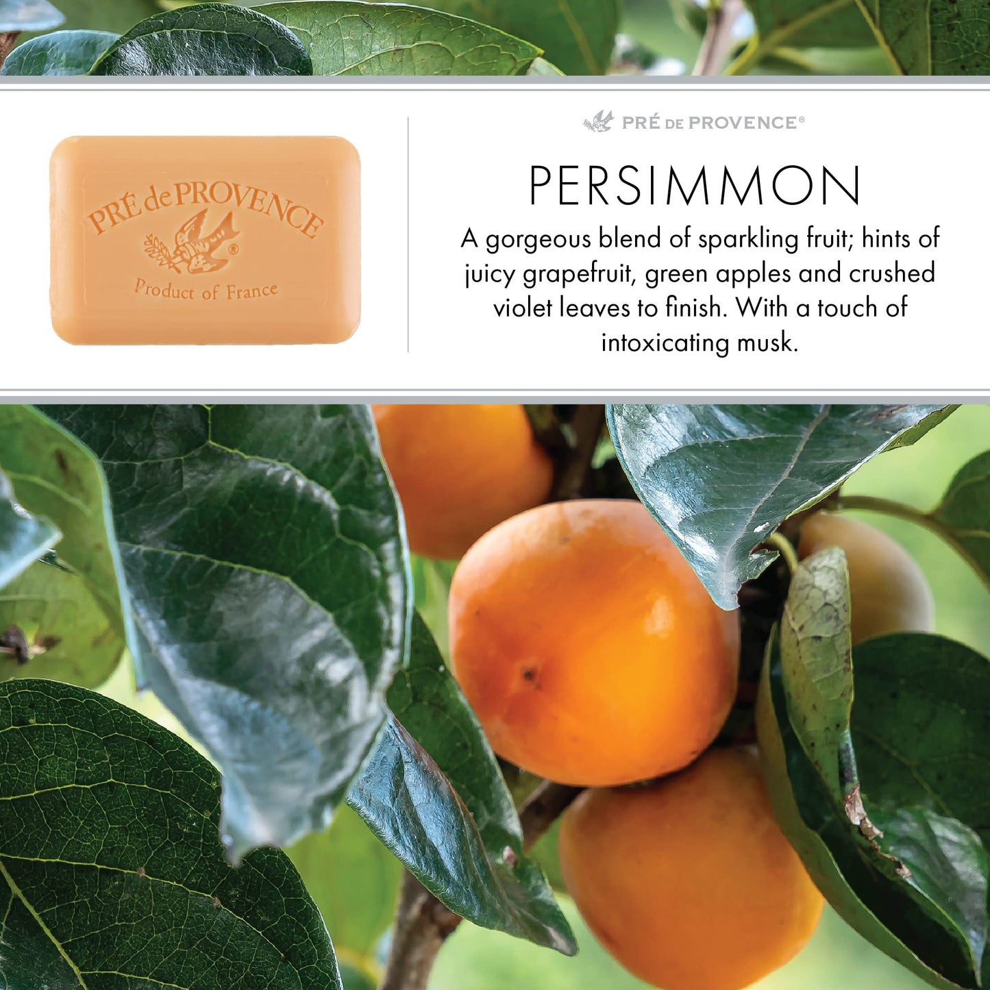 Pre de Provence Artisanal Soap Bar, Enriched with Organic Shea Butter, Natural French Skincare, Quad Milled for Rich Smooth Lather, 8.8 Ounce Beauty & Personal Care Pre de Provence