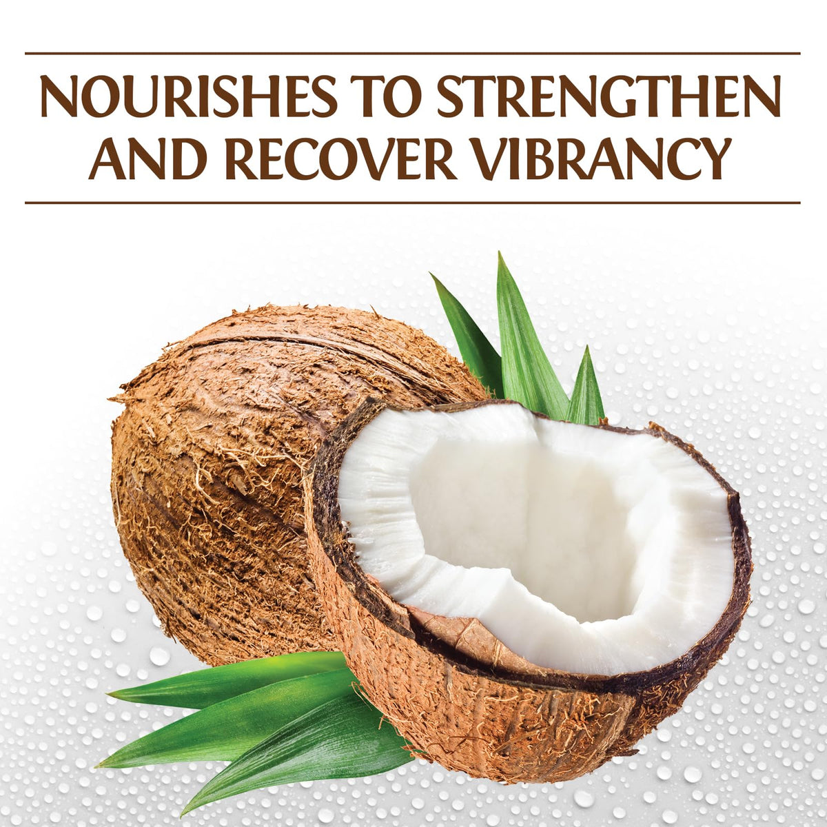 BioSilk Silk Therapy with Natural Coconut Oil Moisturizing Conditioner