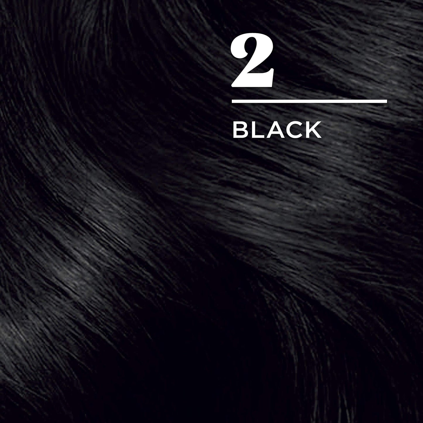 Clairol Nice'n Easy Permanent Hair Dye, 2 Black Hair Color, Pack of 1 Beauty & Personal Care Clairol