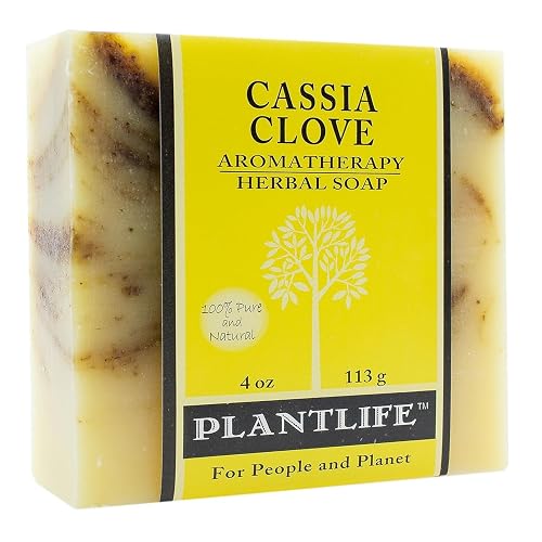 Plantlife Cassia Clove Bar Soap - Moisturizing and Soothing Soap for Your Skin - Hand Crafted Using Plant-Based Ingredients - Made in California 4oz Beauty & Personal Care Plantlife