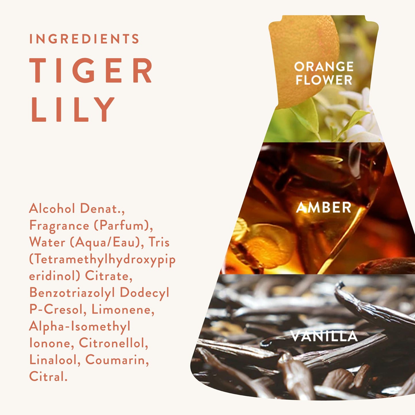 Good Chemistry Tiger Lily Travel Spray 0.33 fl oz - Long-Lasting On-the-Go Perfume with Orange Flower, Vanilla, & Amber - Charming, Clean & Vegan Beauty & Personal Care Good Chemistry