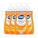Dial Antibacterial Defense Liquid Hand Soap + Aloe, Gold Scent, 11 Fl Oz (Pack of 4), Dermatologist-Tested Hand Wash, Gentle Formula Beauty & Personal Care Dial