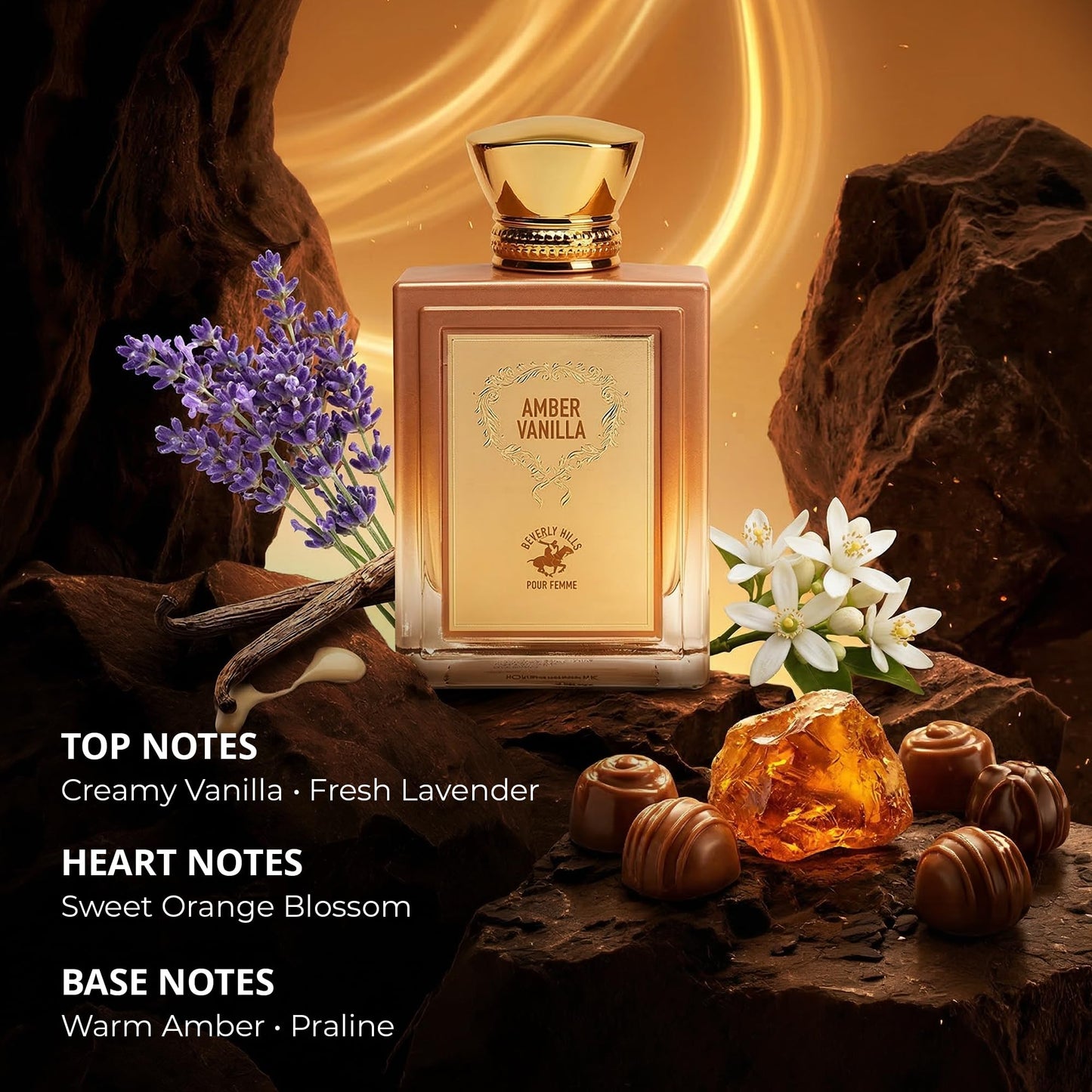 Beverly Hills Polo Club Amber Vanilla Eau de Parfum for Women | Luxurious Floral Amber Gourmand Fragrance | Creamy Vanilla, Warm Amber & Praline | Beauty & Personal Care Beverly Hills Polo Club