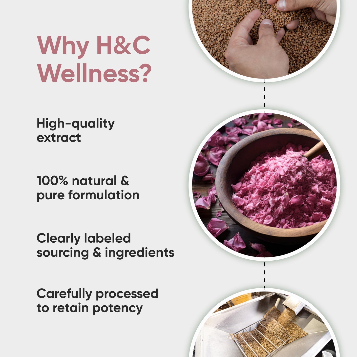 H&C 100% Pure Rose Petals Powder (Rosa Centifolia) for Facial Mask Formulation - 1/2 LB/ 227 gms / 8 Oz Beauty & Personal Care H&C