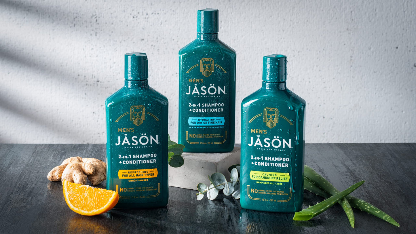 Jason Men's Calming 2-in-1 Shampoo and Conditioner, 12 oz Beauty & Personal Care JASON