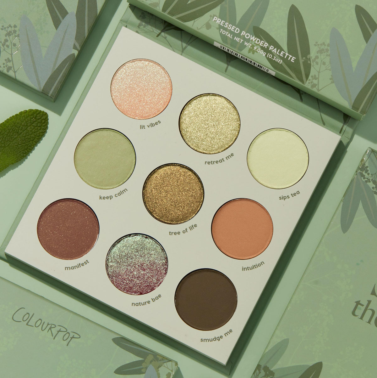 ColourPop Sage the Day Eyeshadow Palette - Sage & Olive Palette with Metallic and Matte Finishes - High-Pigment Eye Makeup with a Long-Wearing Formula Beauty & Personal Care ColourPop