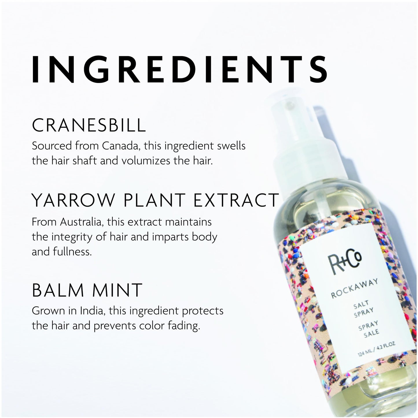 R+Co Rockaway Salt Spray 124 ml / 4.2 oz Beauty & Personal Care R+Co