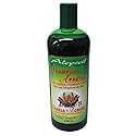 Apretol Shampoo Canela y Romero (Cinnamon and Rosemary Shampoo) Beauty & Personal Care MBP ALOPECIL