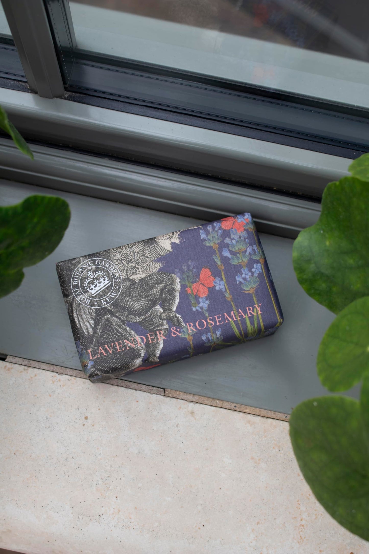 The English Soap Company Royal Botanical Gardens Kew Wrapped Soap Bar, Lavender and Rosemary Scent 240g Beauty & Personal Care The English Soap Company