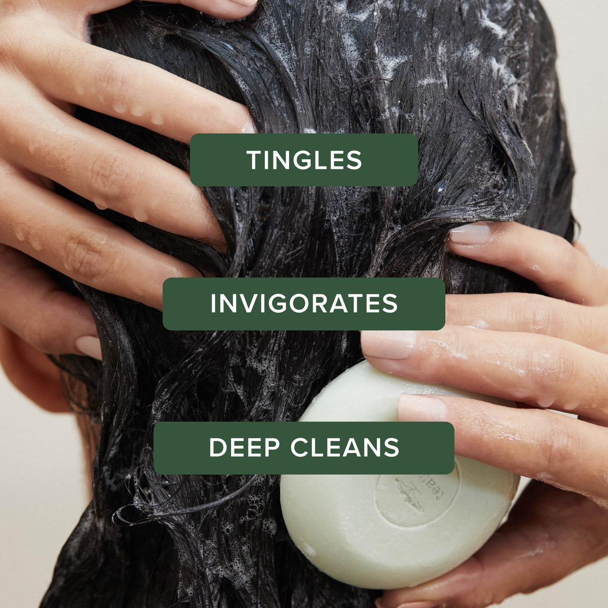 Tea Tree Special Shampoo Bar, Deep Cleans, Refreshes Scalp, Especially Oily Hair, For All Hair Types, 2.8 oz