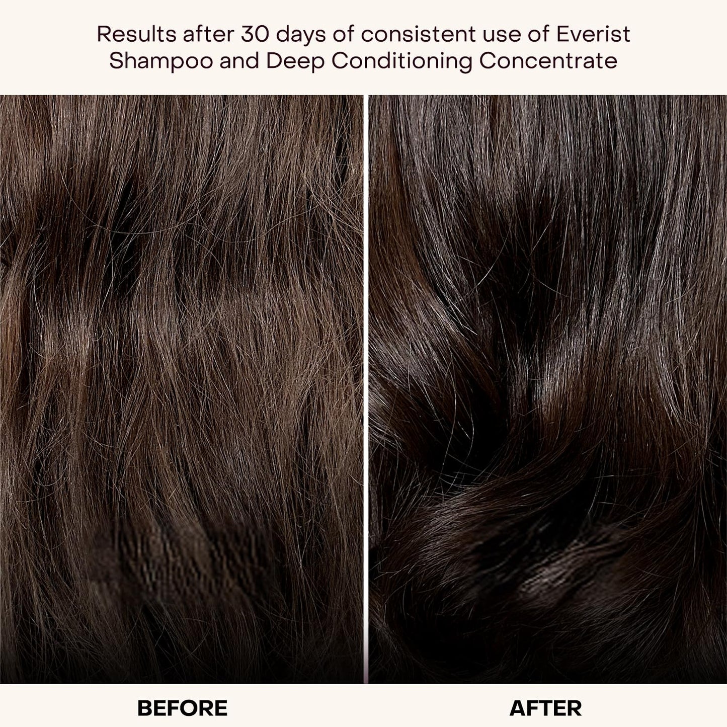 Everist The Haircare Travel Duo, The Shampoo Concentrate & The Deep Conditioning Concentrate, Deep Hydration and Smoothing, Aloe Vera, Paraben Beauty & Personal Care Everist