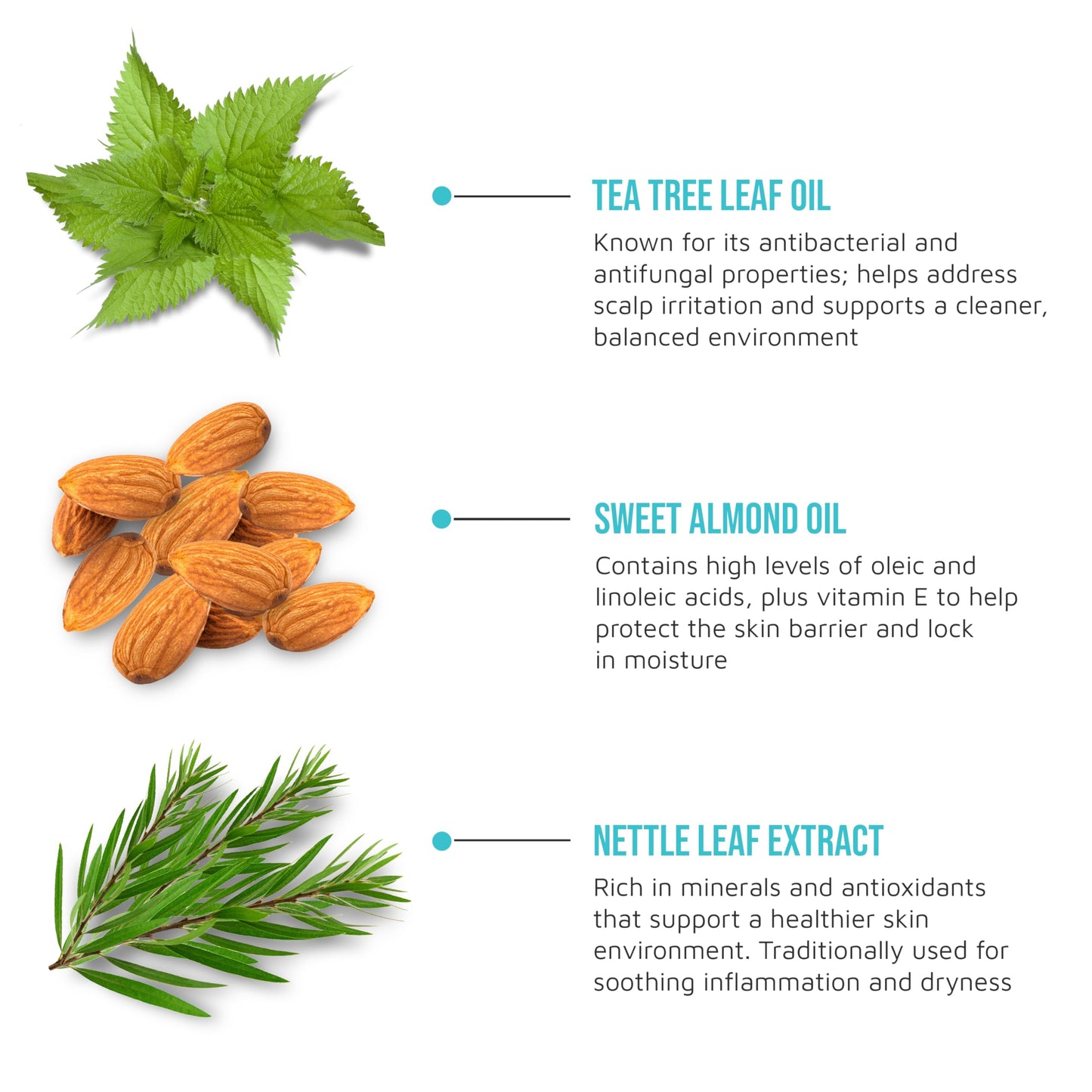 KISS COLORS & CARE Tea Tree Multivitamin Oil for Hair & Skincare, Infused with Biotin, Vitamin E and Natural Oils for Long-Lasting Hydration Beauty & Personal Care KISS COLORS & CARE