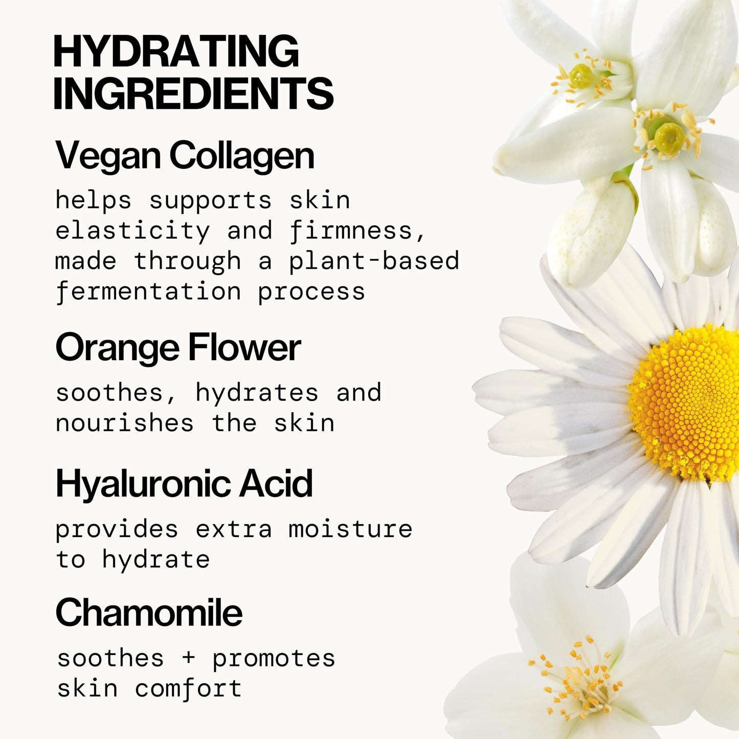 Pacifica Vegan Collagen Hydrating Milk Tonic - Alcohol-Free Milky Toner & Essence Moisturizing Vegan Collagen Face Tonic w/Hyaluronic Acid, Chamomile Beauty & Personal Care Pacifica