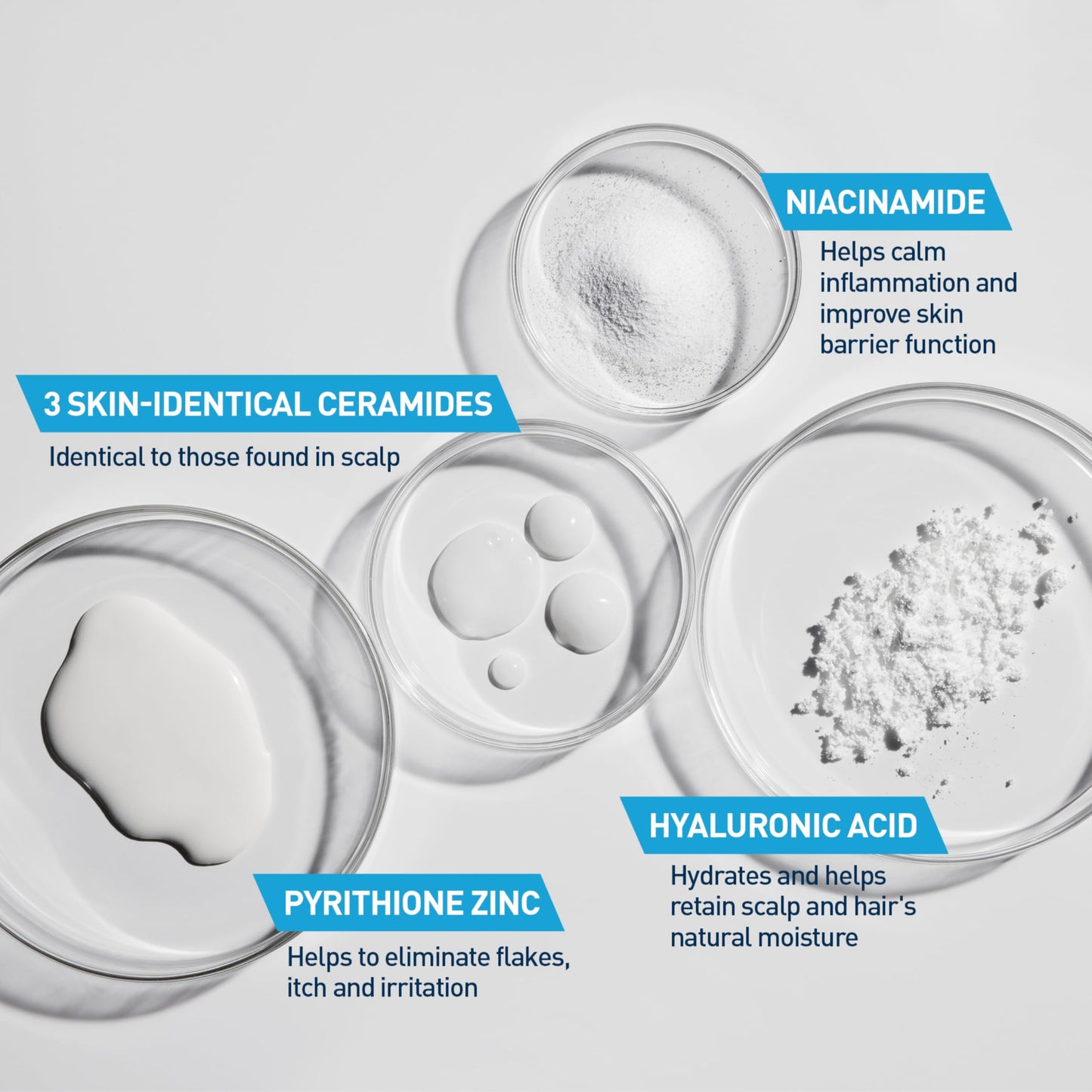 CeraVe Hydrating Anti Dandruff Conditioner, 0.5% Pyrithione Zinc Dandruff Treatment With Ceramides, Hyaluronic Acid & Niacinamide, Helps Eliminate Beauty and Personal Care CeraVe