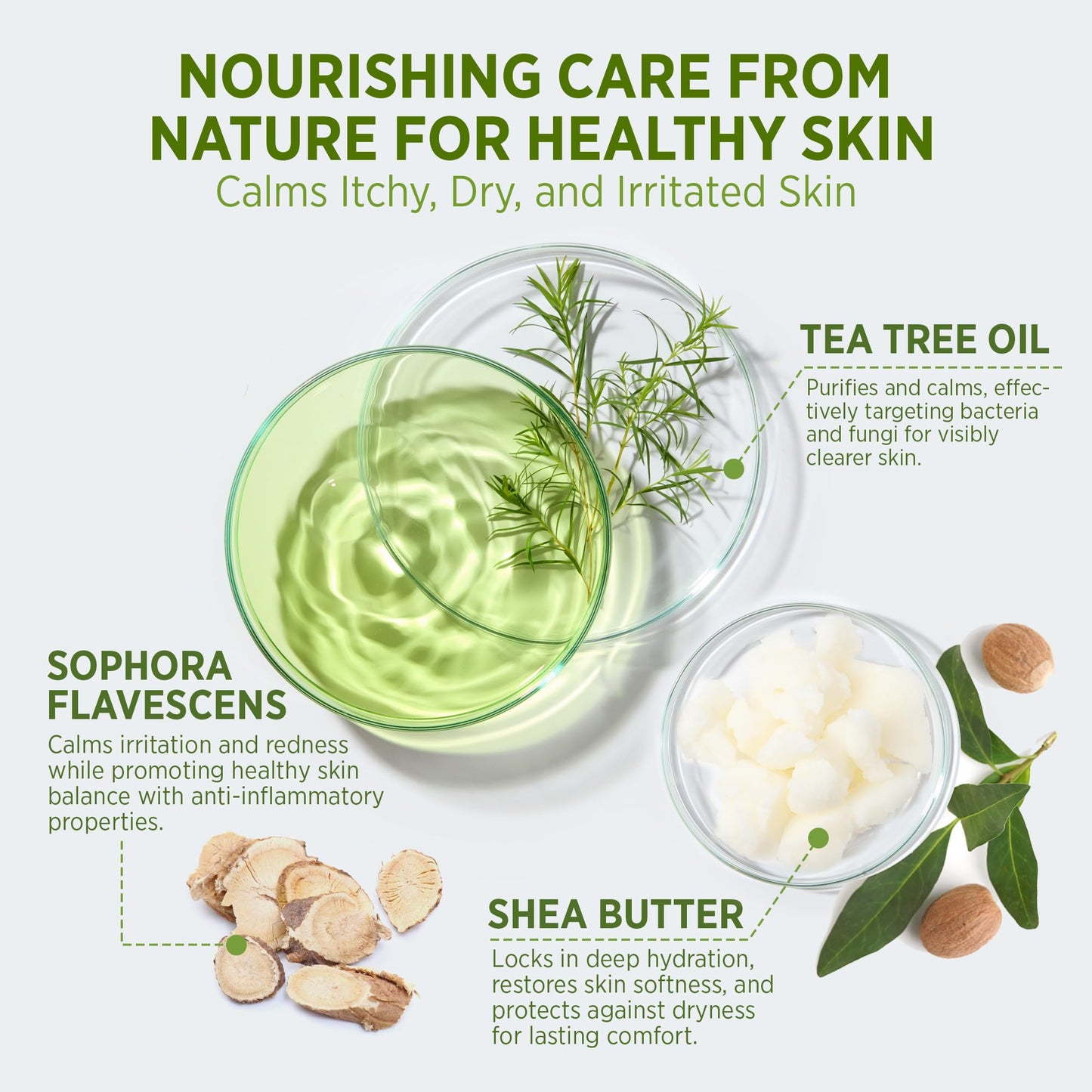 Roycederm Tea Tree Body Wash & Soap, Purifying and Refreshing Body Cleanser with Tea Tree Oil & Wormwood, Moisturizing Body Wash Helps Soothe Skin Beauty & Personal Care Roycederm