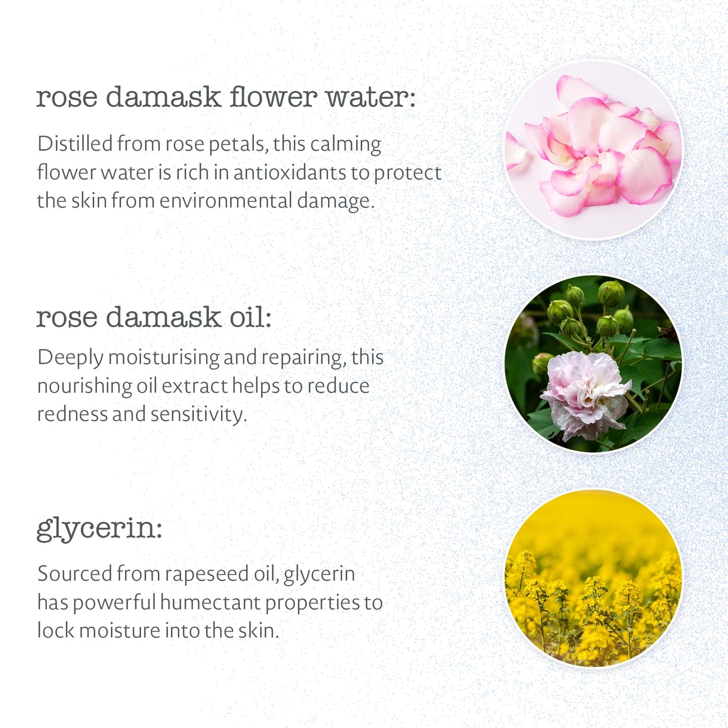 Elemental Herbology Antioxidant Toning Mist 4.2 fl oz - Hydrating & Soothing Facial Spray with Rose Damask Flower Water, Rose Oil & Glycerin - Calms Beauty & Personal Care Elemental Herbology