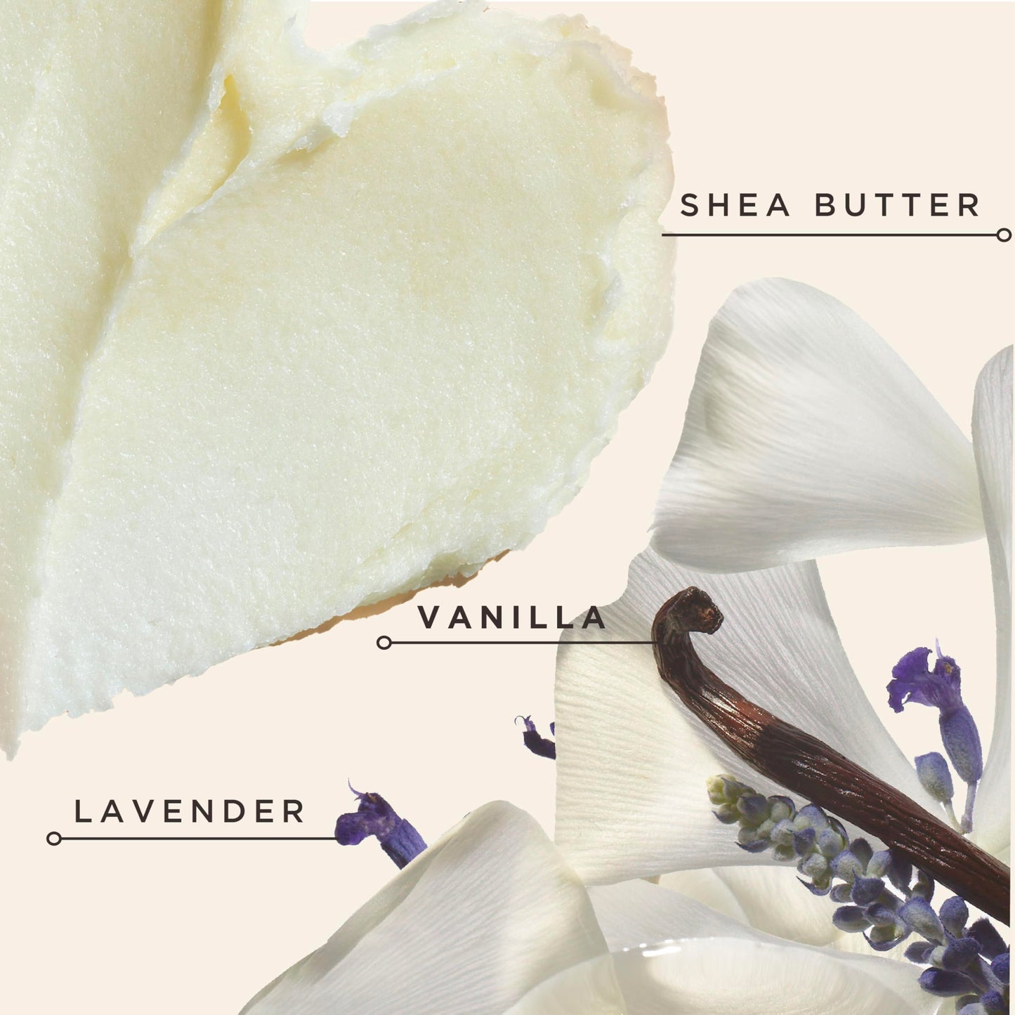 Carol's Daughter Black Vanilla Moisture Sulfate Free Conditioner for Curly, Wavy or Natural Hair, Moisturizing Hair Care for Dry, Damaged Hair, 12 Fl Beauty & Personal Care Carol's Daughter