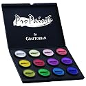 Graftobian ProPaint - 12 Color Master Kit #4 Beauty & Personal Care Graftobian