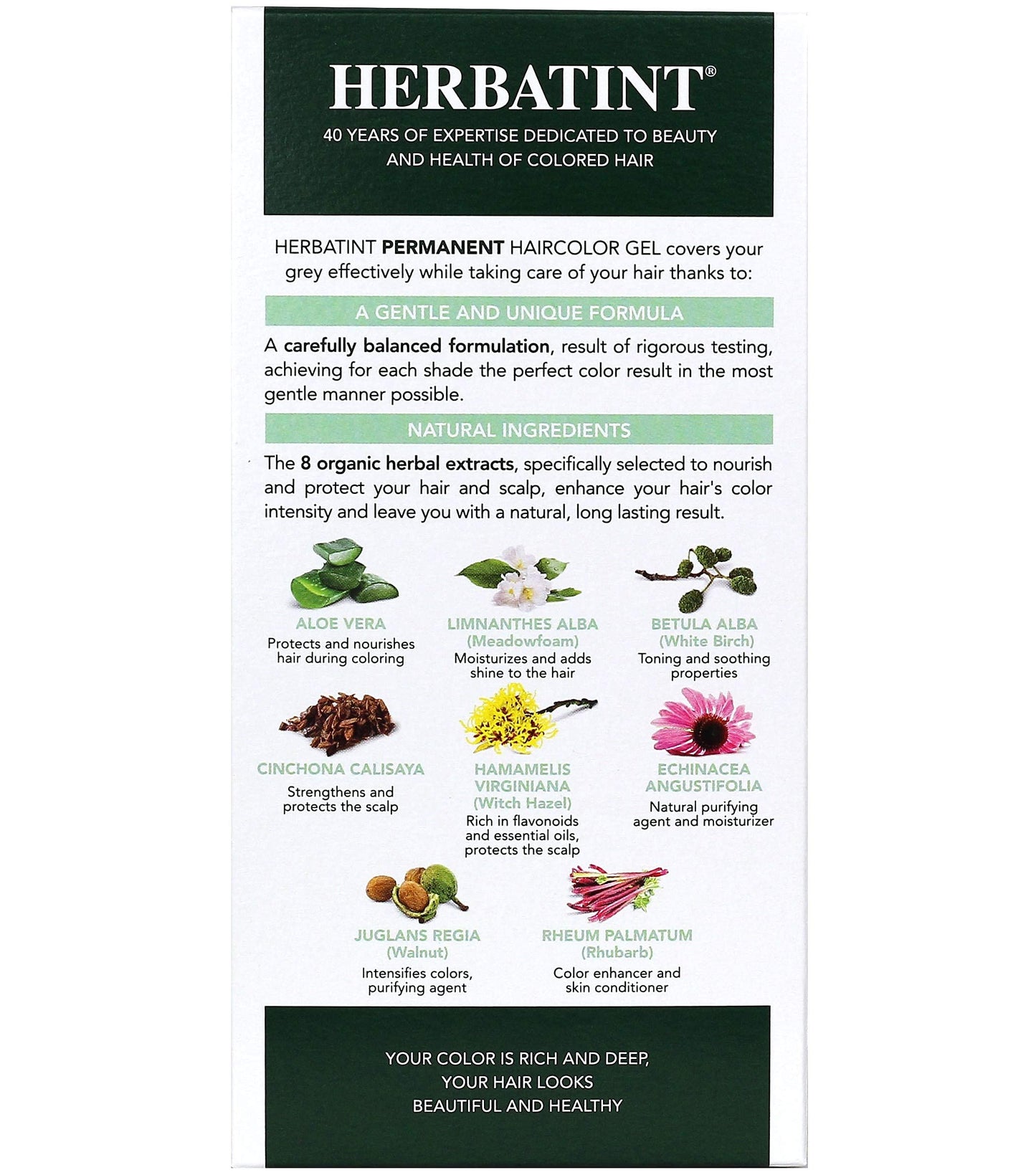 Herbatint 3n Dark Chestnut Hair Color ( 1xKIT) Beauty & Personal Care Herbatint