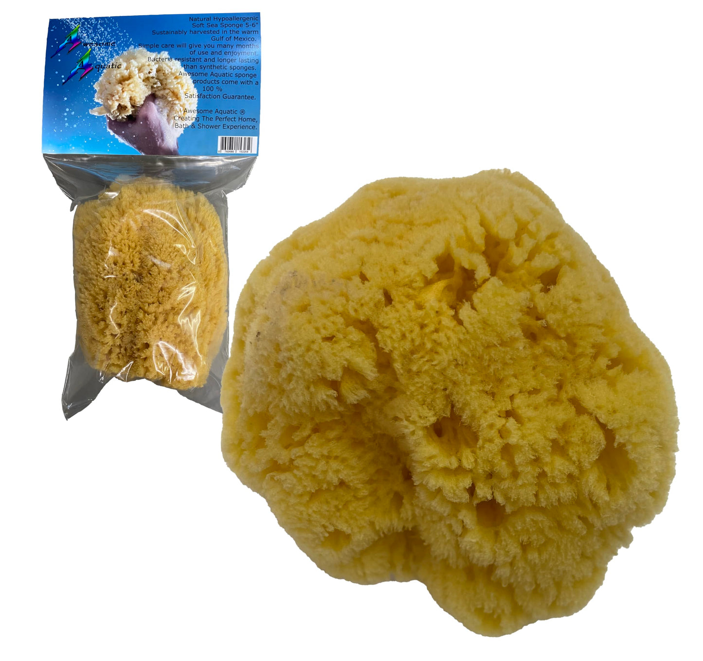 Awesome Aquatic Natural Sea Sponge Amazing Natural Renewable Resource Creating The in Home Perfect Bath and Shower Experience Artist Sponge (Yellow Beauty & Personal Care Awesome Aquatic