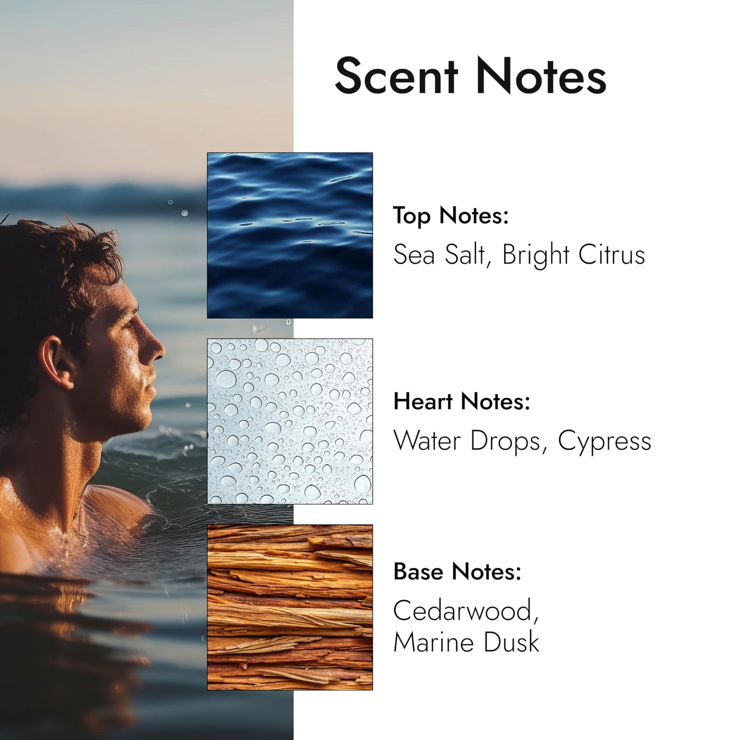 Modern Memory Fresh Aqua Eau de Toilette for Men, 2.5 fl oz - Notes of Bright Citrus, Cypress & Marine Musk Beauty & Personal Care Modern Memory