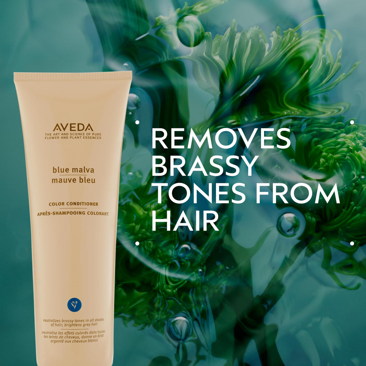 Aveda Blue Malva Color Conditioner | Purple Conditioner for Silver, Gray, Blonde Hair | Neutralizes Brassiness | Deeply Conditions Hair, 8.5 Fl Oz Beauty & Personal Care Aveda