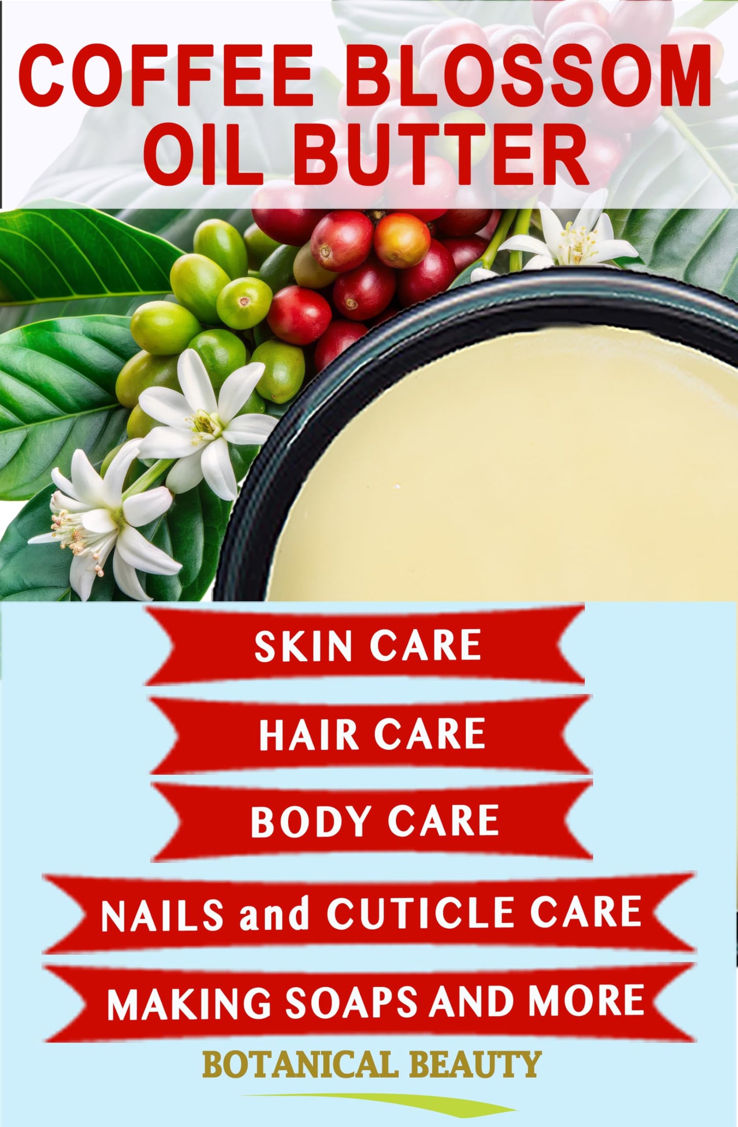 Botanical Beauty COFFEE BLOSSOM OIL BUTTER 100% Natural Coffee Blossom Essential Oil in Shea Nut Butter for FACE, SKIN, BODY, HAIR, NAILS. Beauty Skin Beauty & Personal Care Botanical Beauty