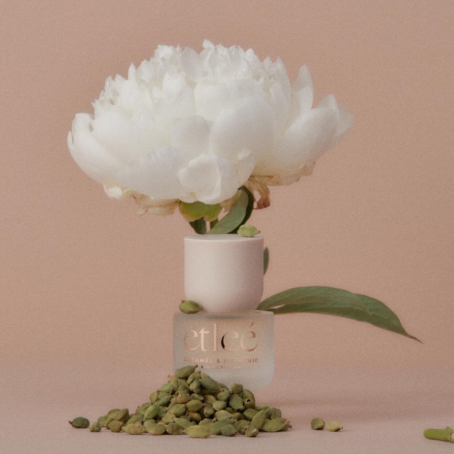 ETLEÉ Vanilla & Lavender Eau de Parfum 1.01oz, Long Lasting Perfume Inspired by YL's Libre+Burb Goddess, Floral Gourmand Notes With Cedarwood, Orange Beauty & Personal Care ETLEÉ