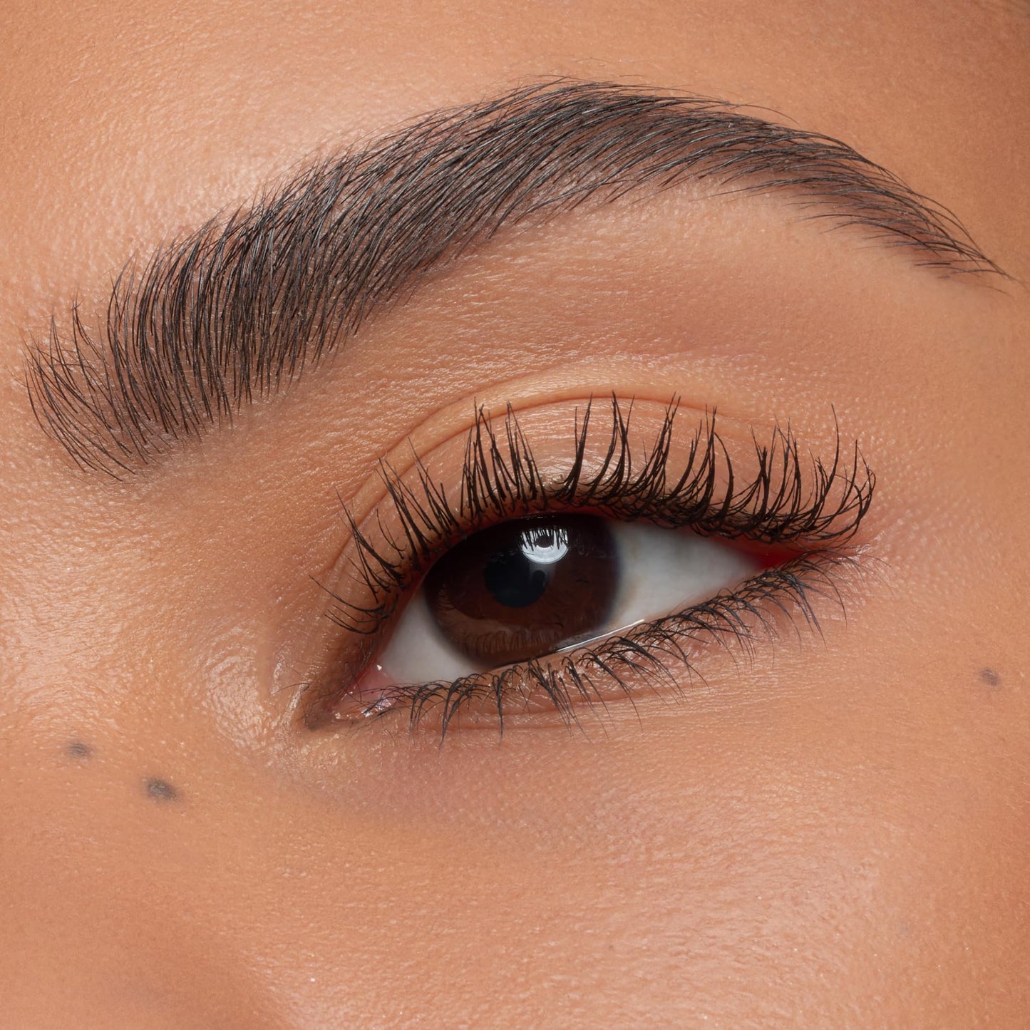 essence | Lash Without Limits Extreme Lengthening & Volume Mascara (01 | Extra Black) | Volumizing & Lengthening | Vegan, Cruelty Free & Paraben Free Beauty and Personal Care Essence Cosmetics