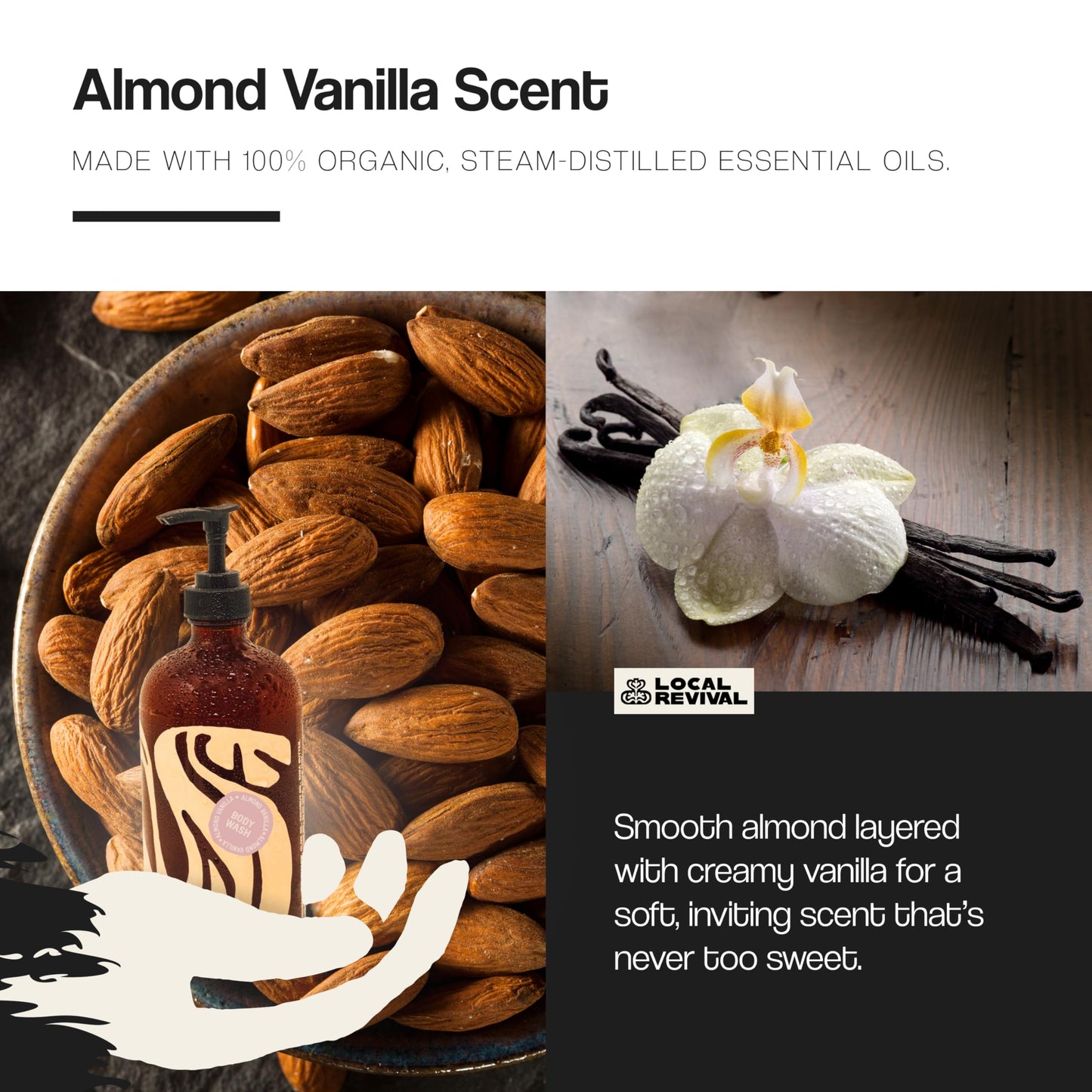 Local Revival Tallow and Honey Body Wash - Almond Vanilla - Beef Tallow with Honey, Olive Oil, Shea Butter and Jojoba Oil - Moisturizing Body Wash Beauty & Personal Care Local Revival