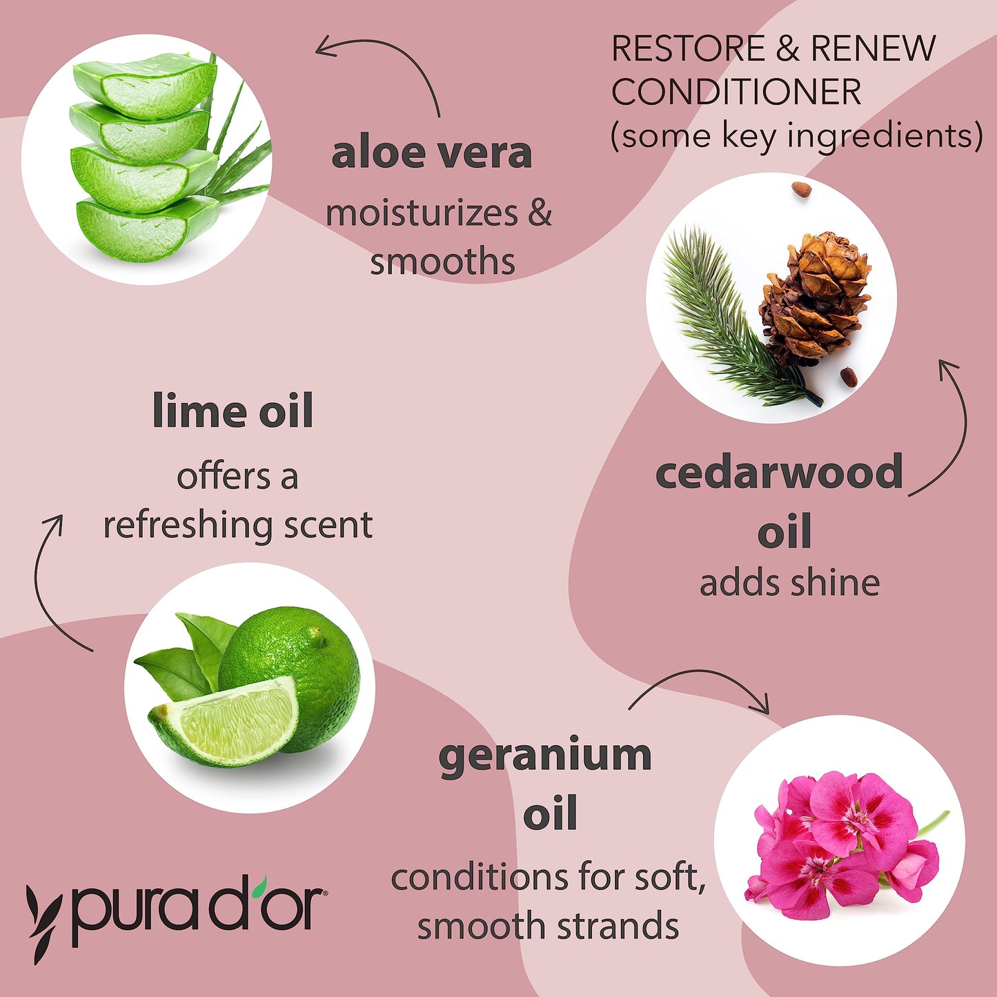 PURA D'OR Restore & Renew Shampoo and Conditioner Set for Strong, Healthy, and Nourished Hair with Organic Aloe Vera, Rosemary, Sea Buckthorn, Cacay Beauty & Personal Care PURA D'OR