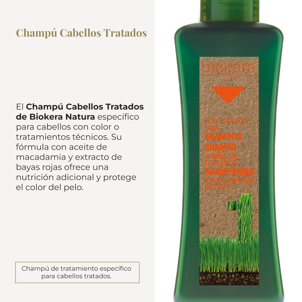 Salerm Biokera Natura Treated Hair Shampoo with Macadamia Oil and Red Berry Extract, 10.8 Ounce