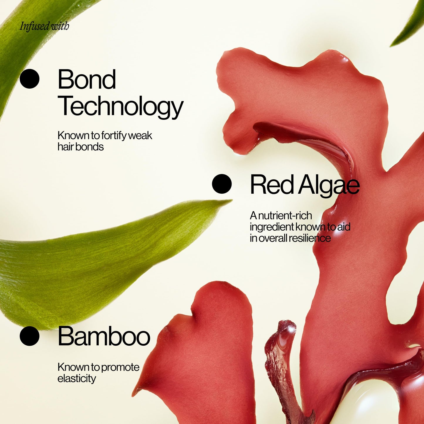 Eva NYC Repair Leave-In Hair Treatment - For Dry, Damaged + Brittle Hair - Reduce Breakage with Bond Technology, Red Algae + Bamboo - 450°F High Heat Beauty & Personal Care EVA·NYC
