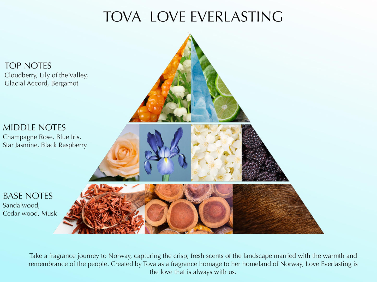 Tova Love Everlasting Eau de Parfum - Romantic Perfume for Women with Cloudberry & Musk - USA Made & Cruelty-Free - 3.4 fl oz Beauty & Personal Care Tova
