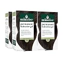 Herbatint Permanent Hair Dye - 3N Dark Chestnut - For Up To 100% Gray Coverage of Resistant Gray Hair - Ammonia-Free, Alcohol-Free & Vegan - Salon Beauty & Personal Care Herbatint