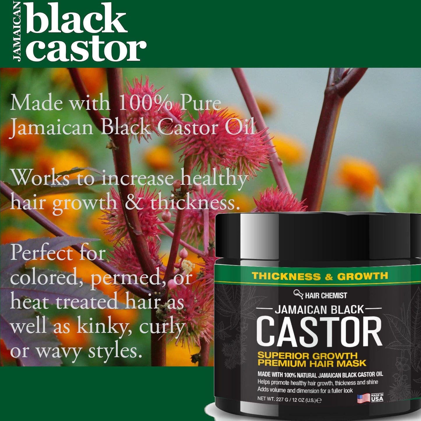 Chemist Superior Growth Jamaican Black Castor Hair Mask 12 oz. - Masque for Dry Damaged Hair, Deep Repairing Mask for Hair Growth Beauty & Personal Care Hair Chemist